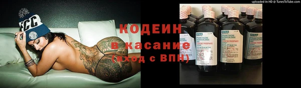 дурь Нягань