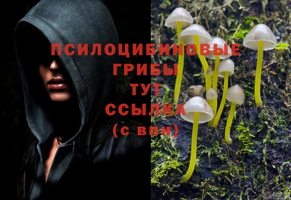 винт Няндома