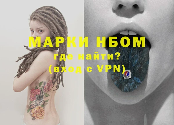 винт Няндома