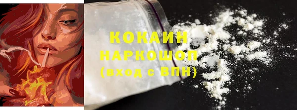 винт Няндома