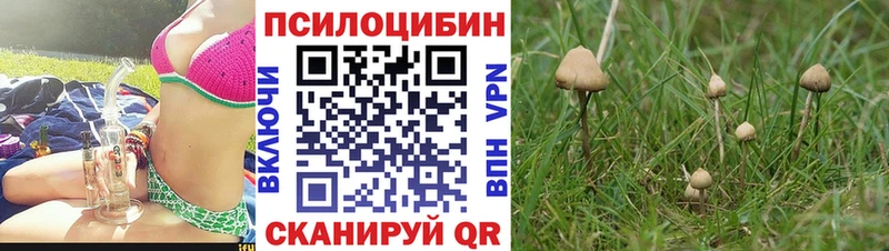Галлюциногенные грибы мицелий  Черногорск 
