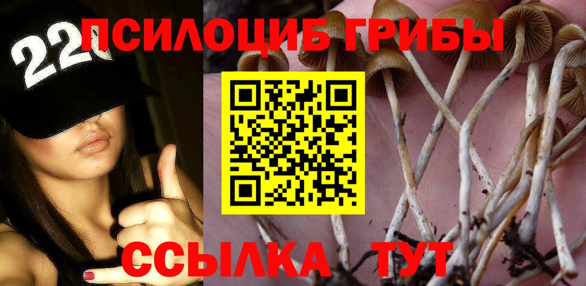 Галлюциногенные грибы GOLDEN TEACHER  Черногорск 